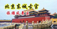 鸡巴黄色视频中国北京-东城古宫旅游风景区